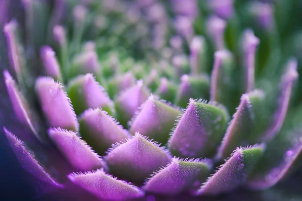 Responsible Business | Wellbeing | Legal Services